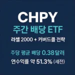CHPY etf 배당금, 배당락일(5천만원 투자하면?) CHPY etf 배당금, 배당락일(5천만원 투자하면?)