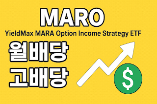 월배당 MARO 배당일, 배당금, 배당락일(5천만원 투자)